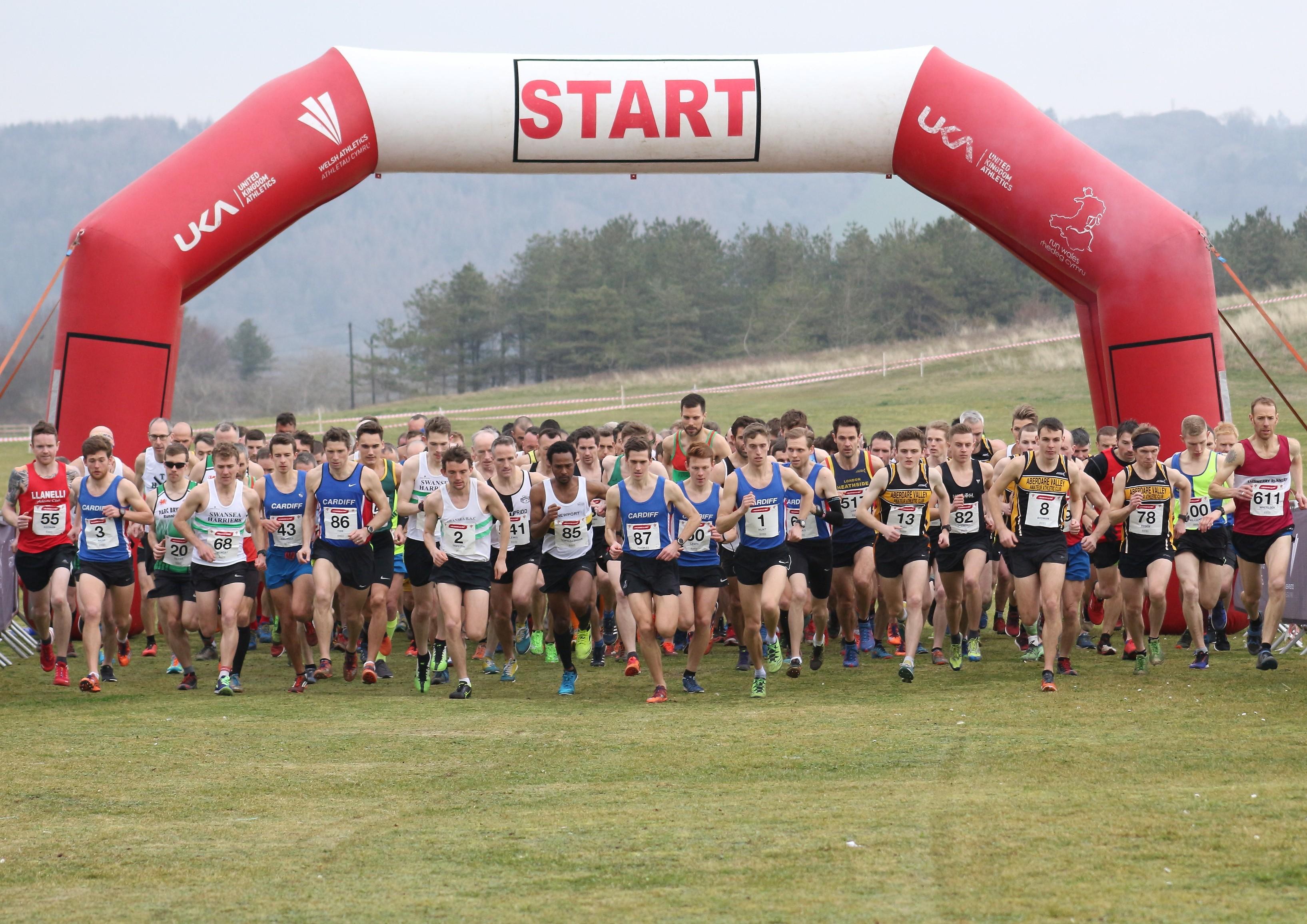 The start of the men's senior race at the Welsh Cross Country Championships..jpg