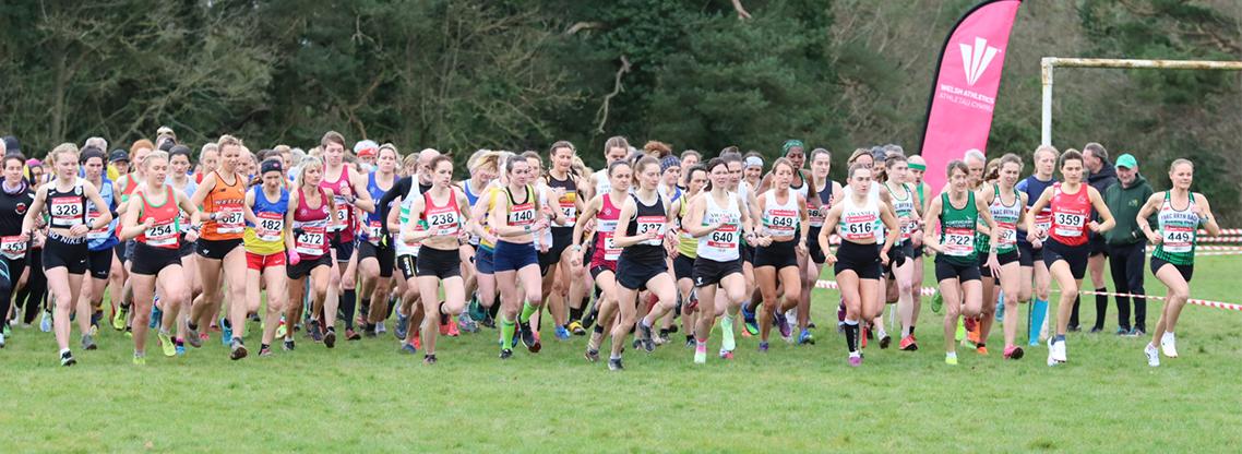 The start of the senior women's race at the 2024 Welsh Cross Country Championships.