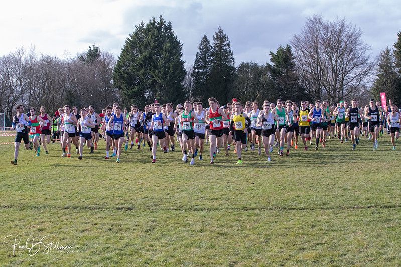 The start of the senior men's race at the 2023 Welsh Cross Country Championships.