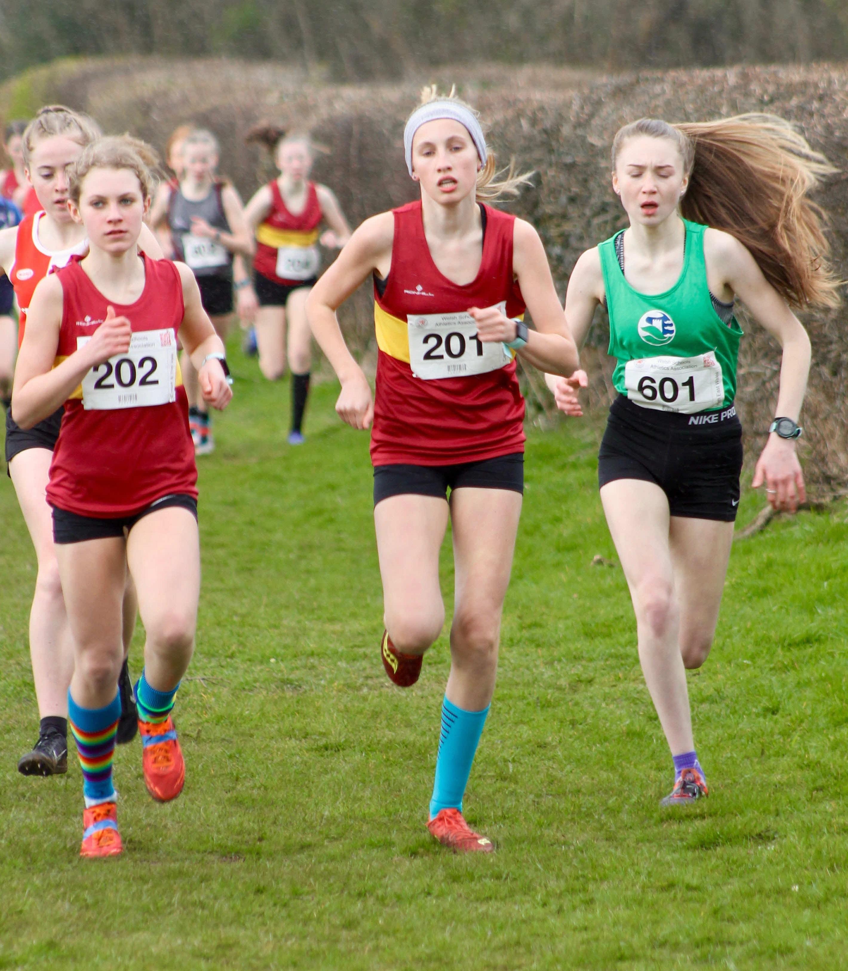 WSAA XC 1.jpg
