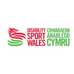 DSW logo.jpg