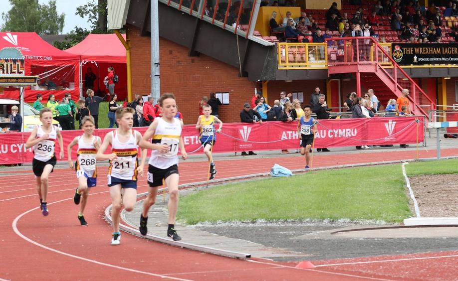 Welsh Junior League.png