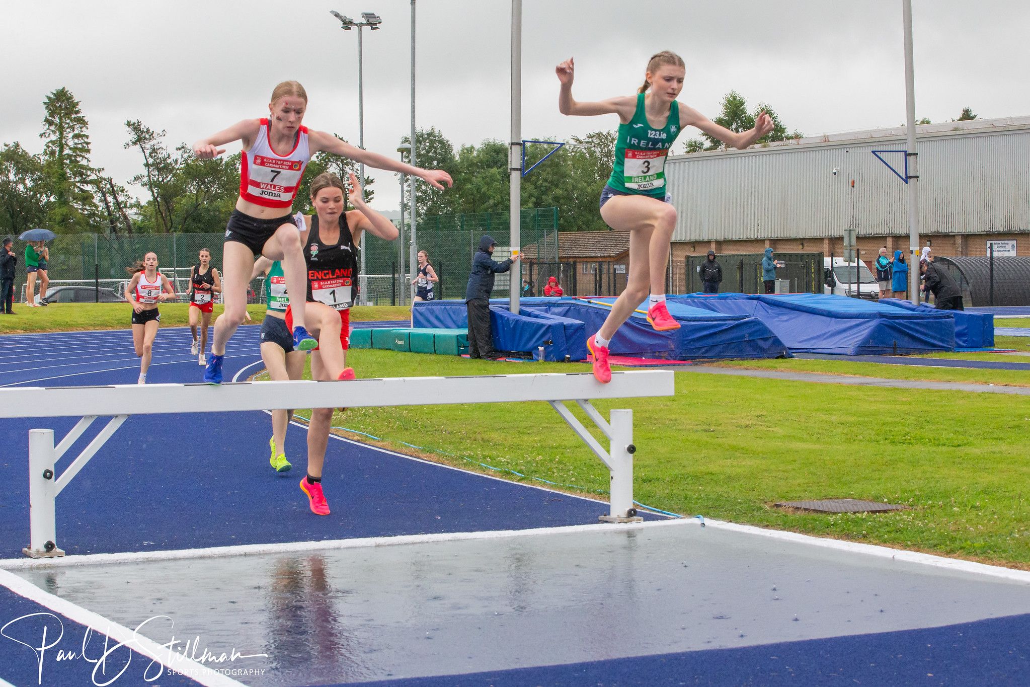 Millie - Steeplechase.jpg