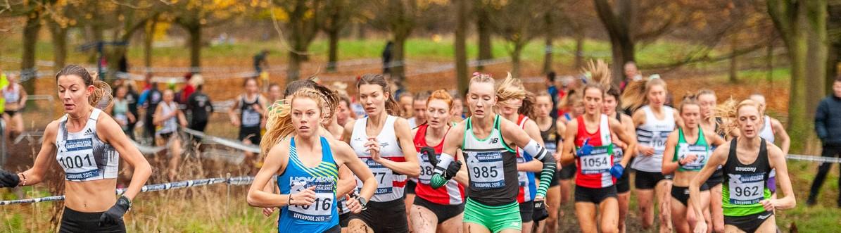 Liverpool Cross - Arter.jpg