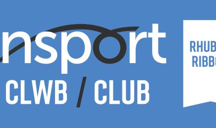 insport Club Standard Marks_Ribbon (Standard backgrounds) (3).jpg