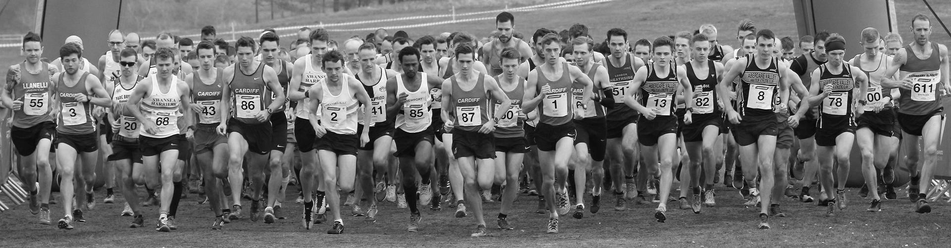 Welsh XC.png