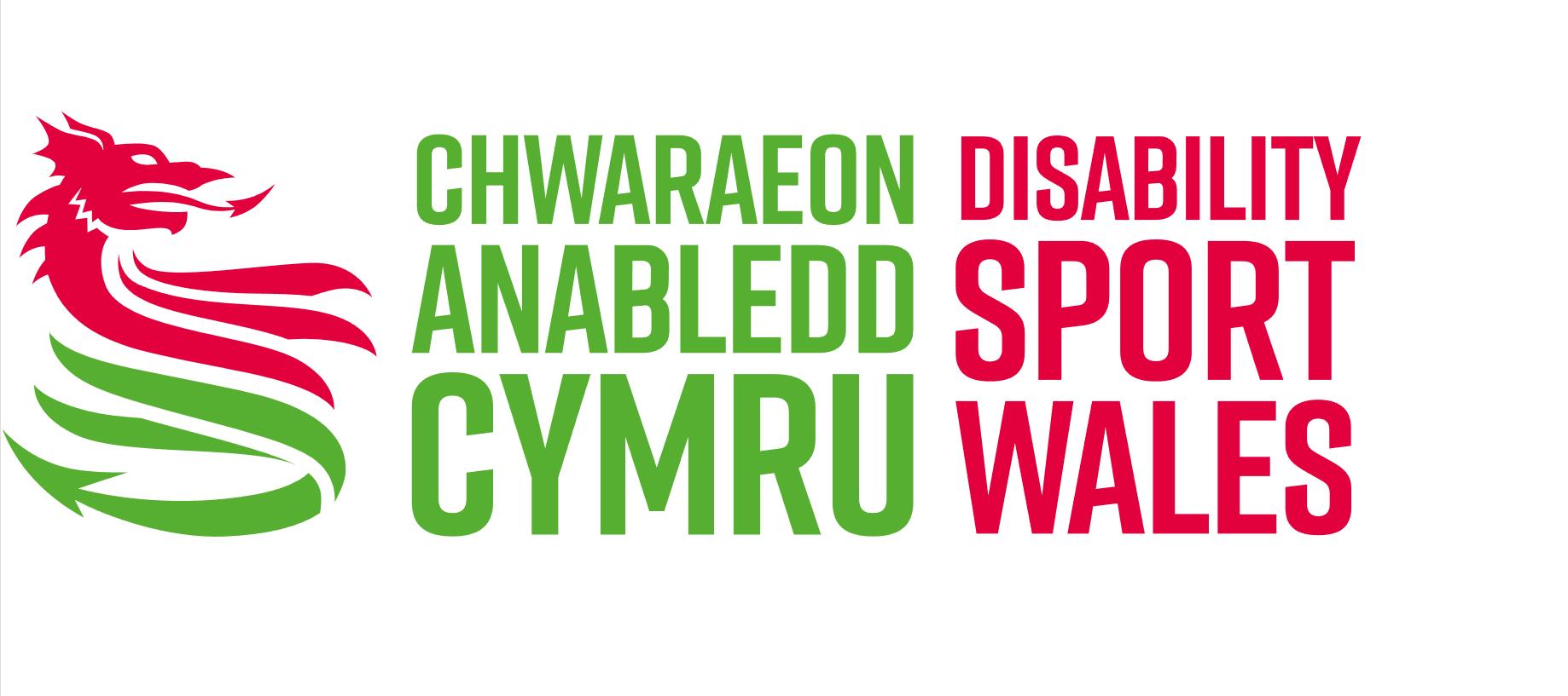 DSW logo .png