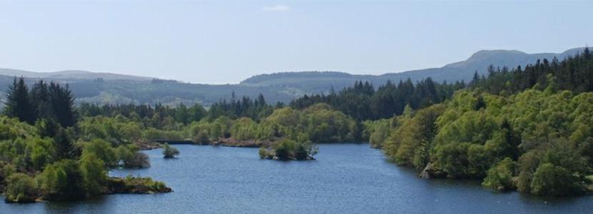 Betws-y-Coed Trail Challenge_.png