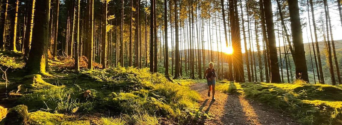 Silver Trail hero.jpg