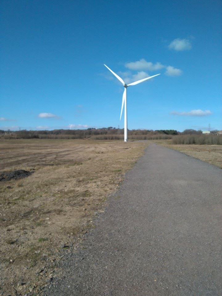 Blade Runner Wind Farm