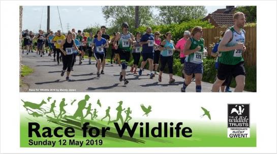 Race for Wildlife.PNG