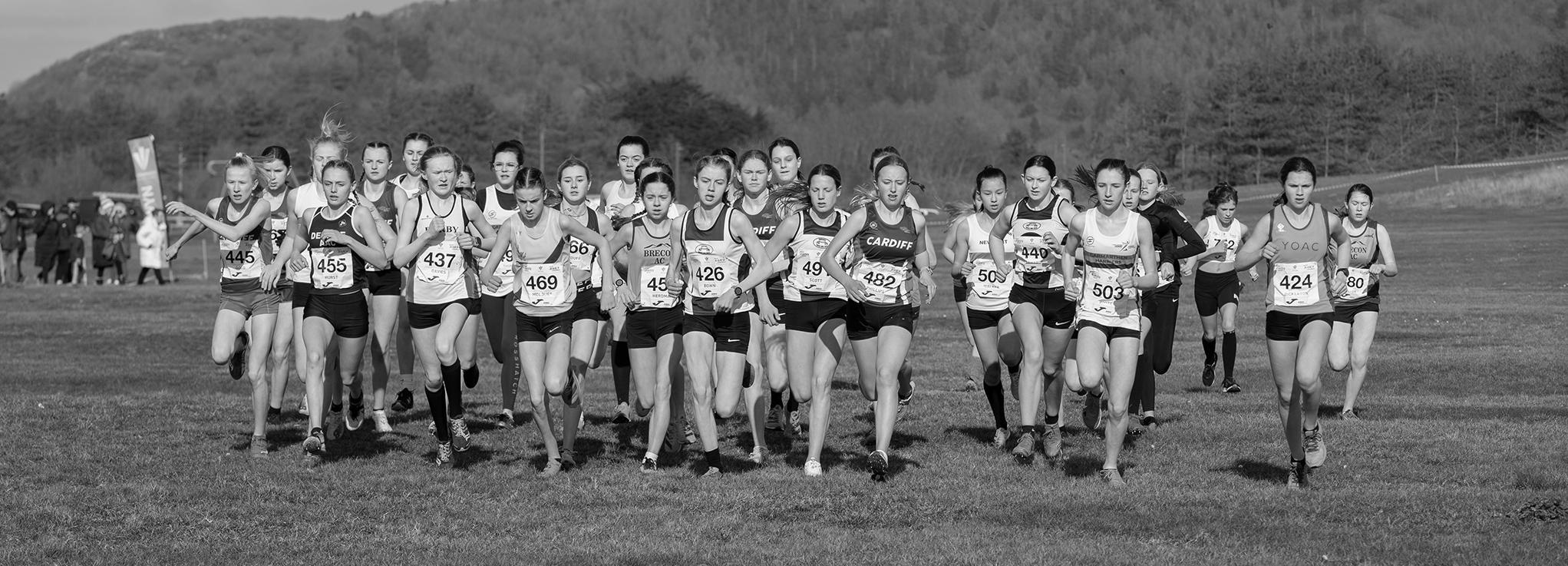 Cross Country Hero.jpg