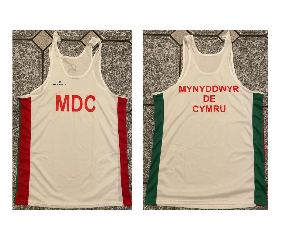 Mynyddwyr De Cymru